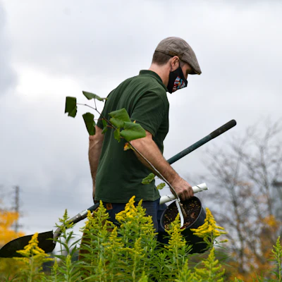 Landscaping